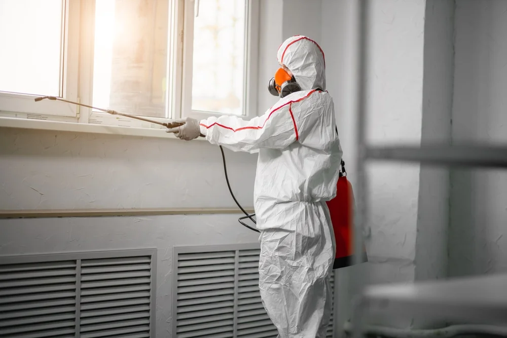 Professional mold remediation services in Raymore, MO